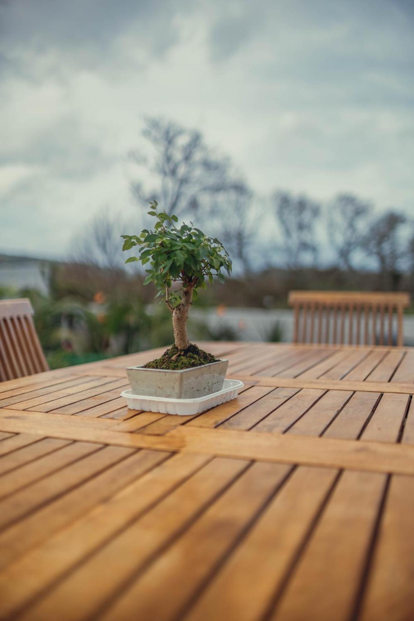 カペラス Buddy'S Houseヴィラ エクステリア 写真